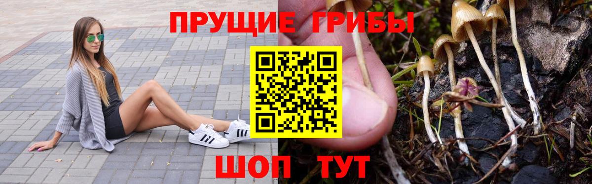 Псилоцибиновые грибы Psilocybine cubensis  Вход с VPN  Батайск 